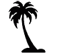 Palmtree